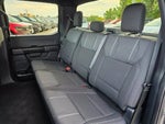 2026 F-150 Thumbnail 17