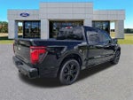 2025 F-150 Thumbnail 4