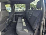 2025 F-150 Thumbnail 15