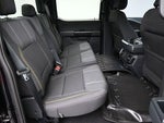 2025 F-150 Thumbnail 14