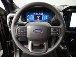 2025 F-150 Thumbnail 29