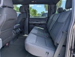 2026 F-150 Thumbnail 13
