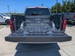 2025 F-150 Thumbnail 5