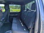 2025 F-150 Thumbnail 8