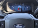 2025 F-150 Thumbnail 14
