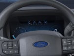 2025 F-150 Thumbnail 13