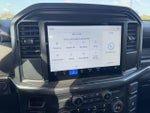 2025 F-150 Thumbnail 12