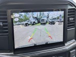 2025 F-150 Thumbnail 12