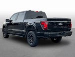 2024 F-150 Thumbnail 5
