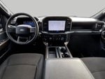 2024 F-150 Thumbnail 10