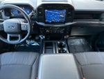 2024 F-150 Thumbnail 14