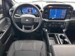 2024 F-150 Thumbnail 11