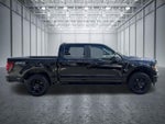 2025 F-150 Thumbnail 5