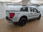 2025 F-150 Thumbnail 8