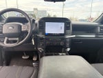 2025 F-150 Thumbnail 14