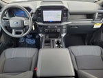 2025 F-150 Thumbnail 10