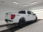 2024 F-150 Thumbnail 5