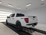 2024 F-150 Thumbnail 6