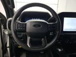 2024 F-150 Thumbnail 8