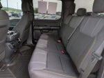 2024 F-150 Thumbnail 6