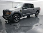 2025 F-150 Thumbnail 4