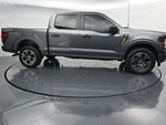 2025 F-150 Thumbnail 12