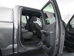 2025 F-150 Thumbnail 13