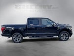 2024 F-150 Thumbnail 9
