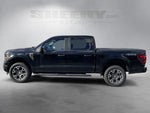 2024 F-150 Thumbnail 14