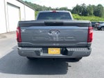 2025 F-150 Thumbnail 5