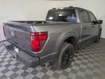 2025 F-150 Thumbnail 8