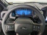 2025 F-150 Thumbnail 14