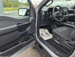 2025 F-150 Thumbnail 11