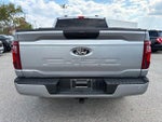 2025 F-150 Thumbnail 6