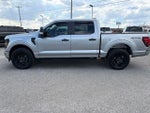 2025 F-150 Thumbnail 8