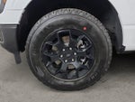 2026 F-150 Thumbnail 9
