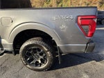 2024 F-150 Thumbnail 7
