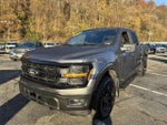 2024 F-150 Thumbnail 10