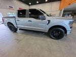 2024 F-150 Thumbnail 6
