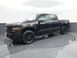 2024 F-150 Thumbnail 1