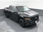 2024 F-150 Thumbnail 18