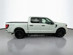 2024 F-150 Thumbnail 7