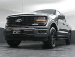 2024 F-150 Thumbnail 39