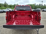 2025 F-150 Thumbnail 5