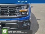2025 F-150 Thumbnail 7