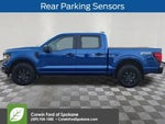 2025 F-150 Thumbnail 9