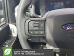 2025 F-150 Thumbnail 21