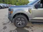 2025 F-150 Thumbnail 10