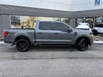 2024 F-150 Thumbnail 10