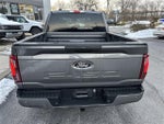 2024 F-150 Thumbnail 12